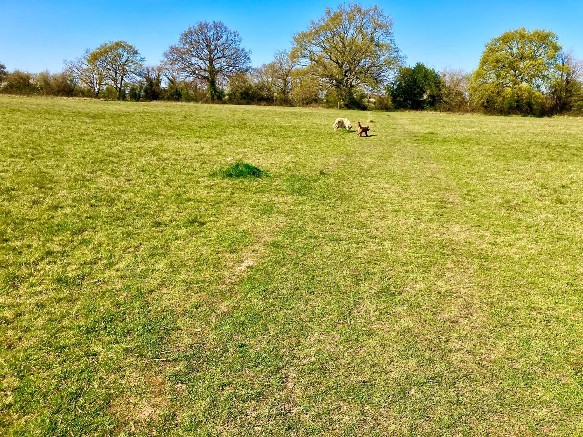 Elkstone Studio Private Hottub Pet Friendly Malvern Kültér fotó